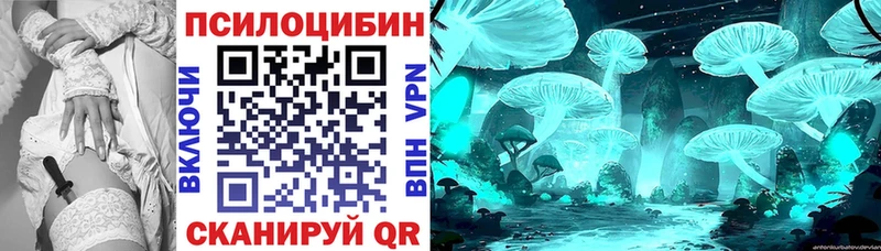 как найти   Энем  площадка наркотические препараты  Псилоцибиновые грибы Psilocybine cubensis 